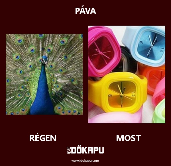 Páva
 
 title=