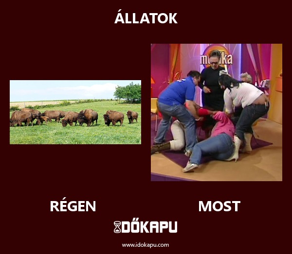 Állatok
 
 title=