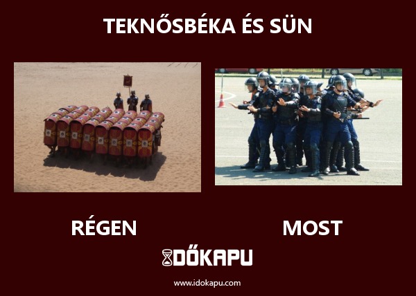 Teknősbéka és sün
 
 title=