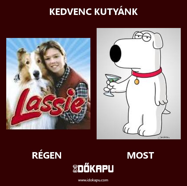 Kedvenc kutyánk
title=