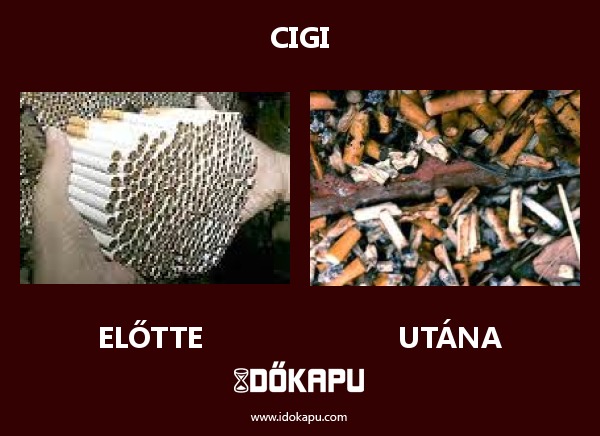 Cigi
title=