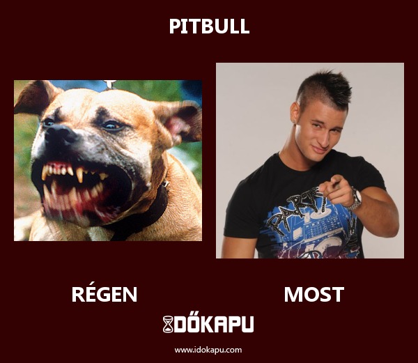 Pitbull
 
 title=