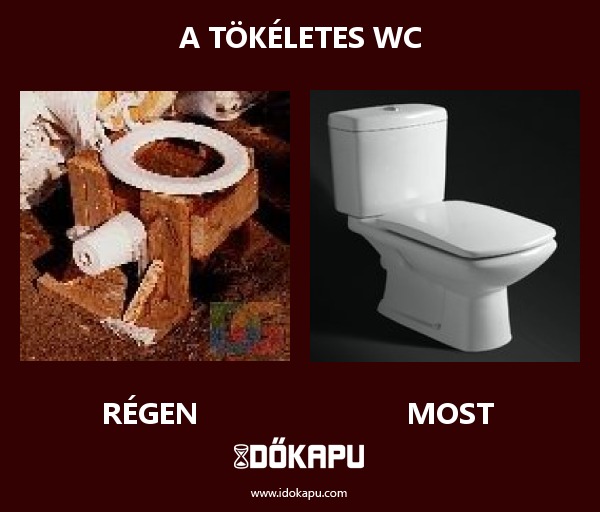 A tökéletes wc
 
 title=