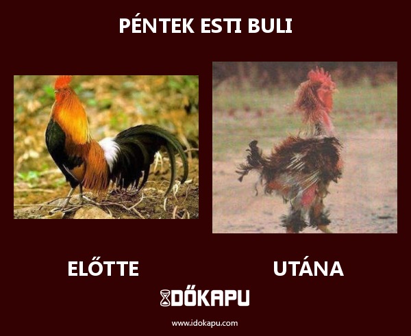 Péntek esti buli
 
 title=