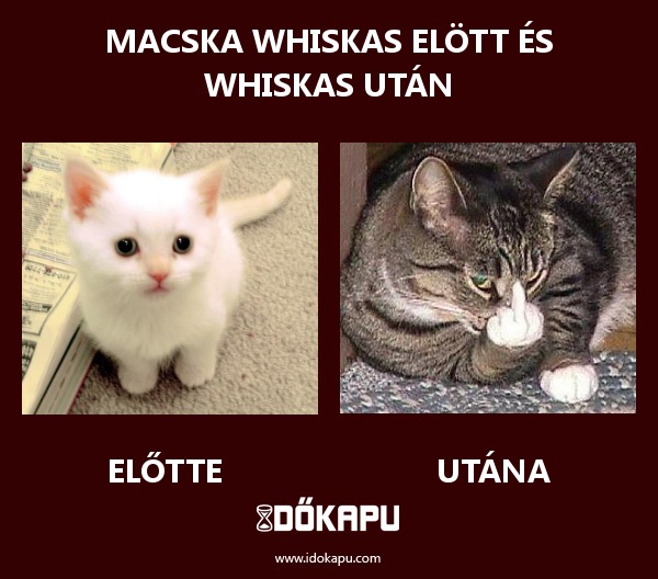 Macska WHISKAS elött és WHISKAS után
 
 title=