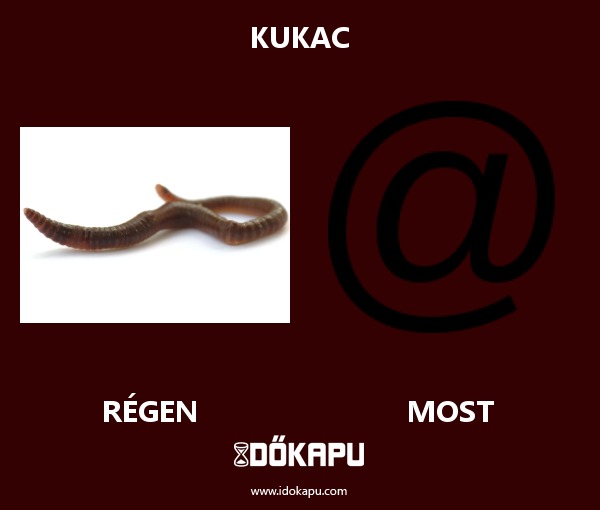 kukac
 
 title=