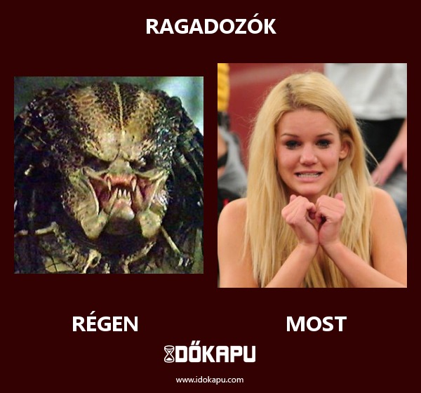 Ragadozók
 
 title=