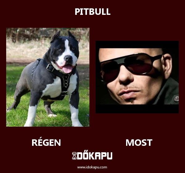 Pitbull
 
 title=