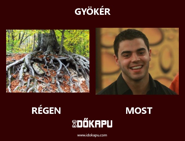 Gyökér
 
 title=