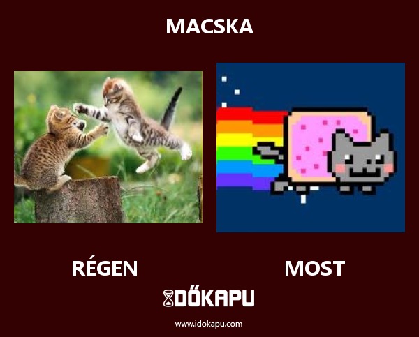 macska
 
 title=