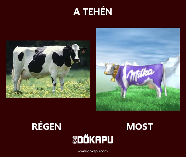 a tehén
 
 title=