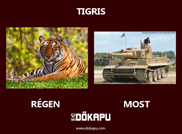 tigris
 
 title=