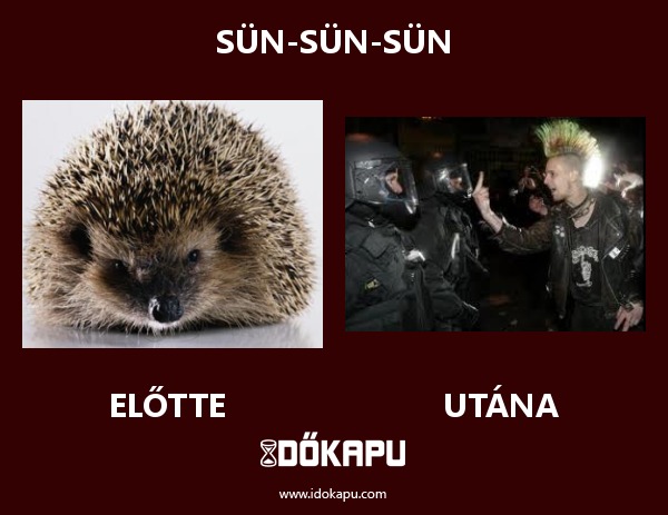 Sün-Sün-Sün
 
 title=