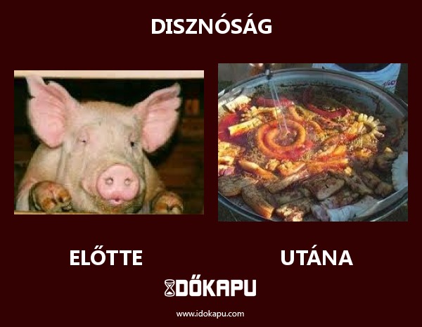 disznóság
 
 title=