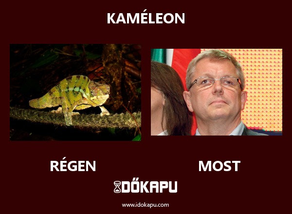 Kaméleon
 
 title=