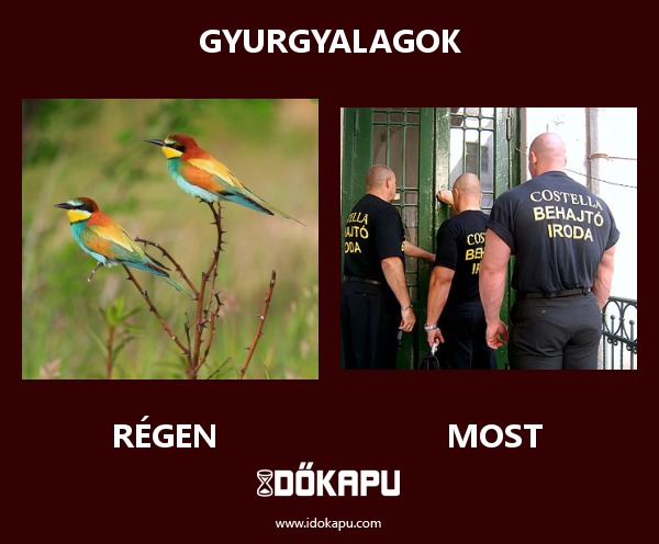 Gyurgyalagok
 
 title=