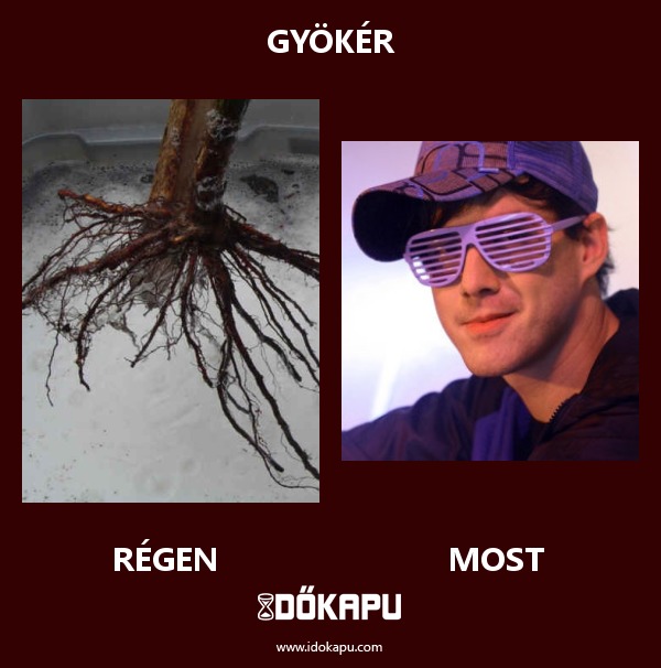 Gyökér
 
 title=