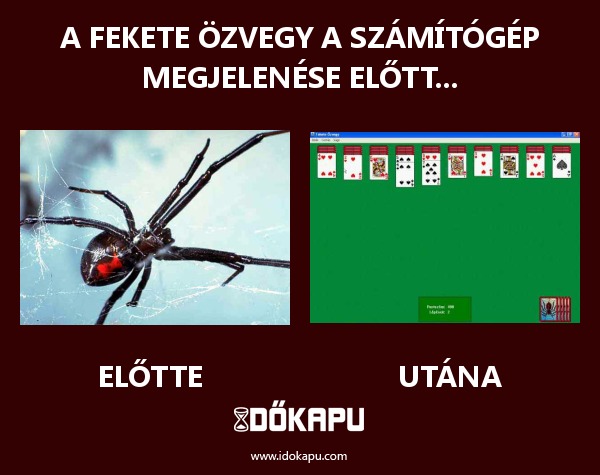 A fekete özvegy a számítógép megjelenése előtt...
 
 title=