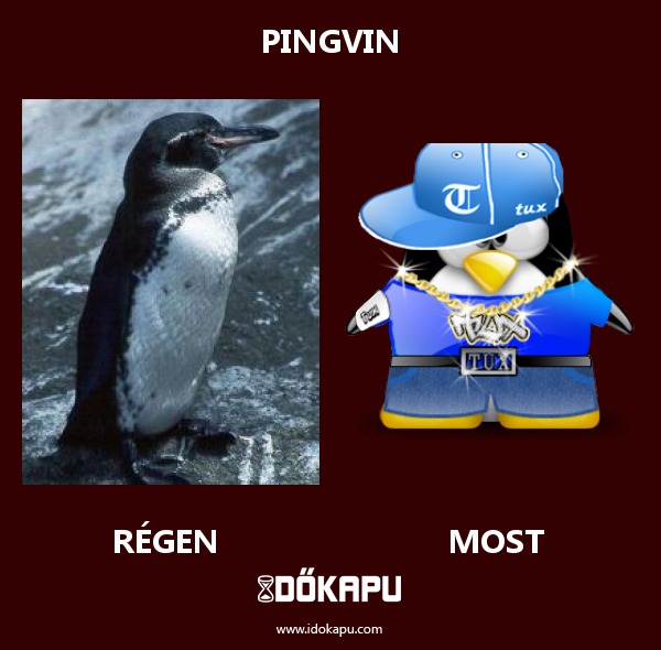 Pingvin
title=
