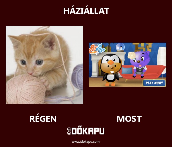 Háziállat
 
 title=