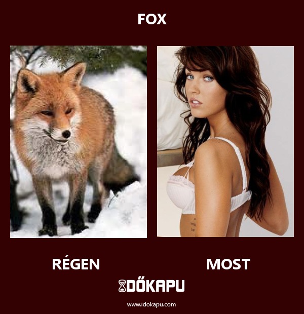 Fox
title=