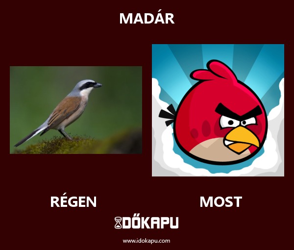 madár
 
 title=