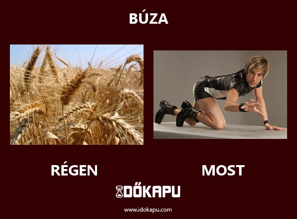 Búza
 
 title=