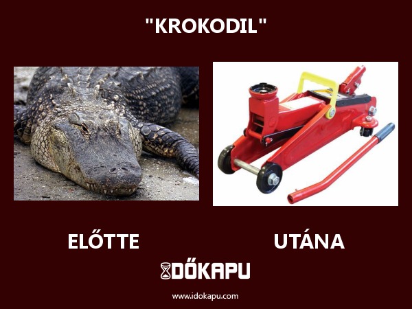 "KROKODIL"
 
 title=