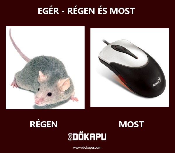 Egér - régen és most
title=