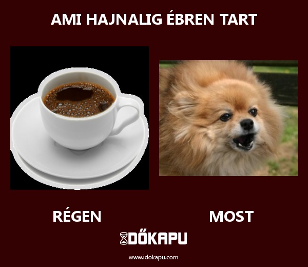 AMI HAJNALIG ÉBREN TART
 
 title=