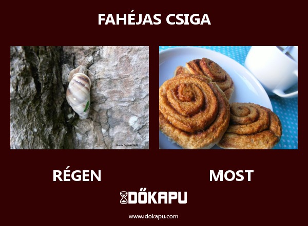 Fahéjas csiga
 
 title=