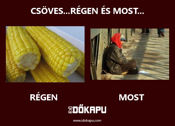Csöves...régen és most...
 
 title=
