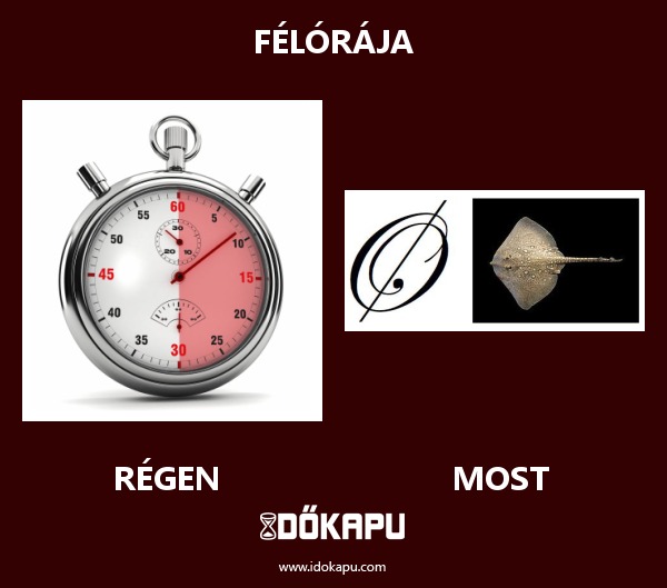 FÉLÓRÁJA
 
 title=