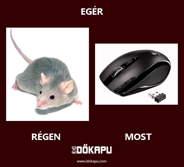 Egér
 
 title=