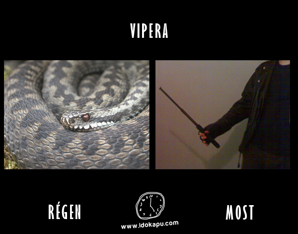 Vipera
 
 title=