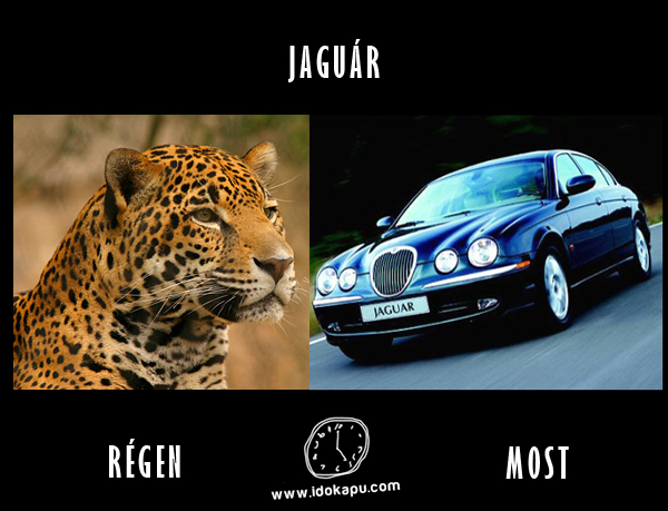 Jaguár
 
 title=