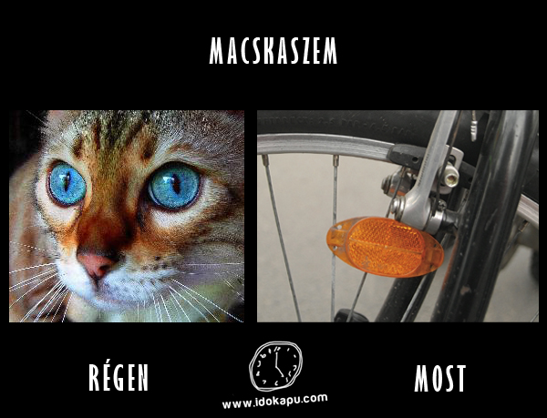 Macskaszem
 
 title=