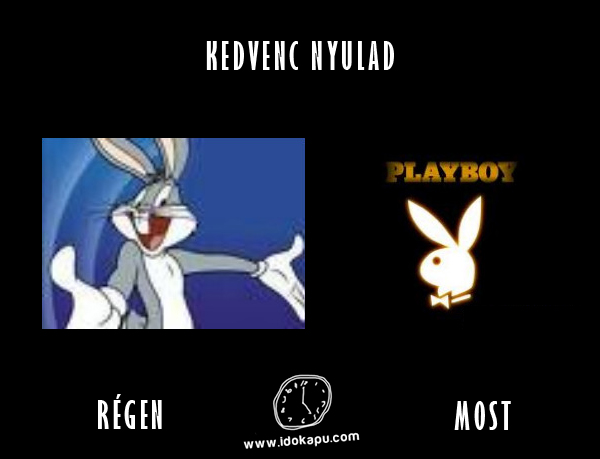 Kedvenc nyulad
 
 title=