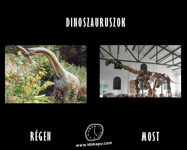 Dinoszauruszok
 
 title=